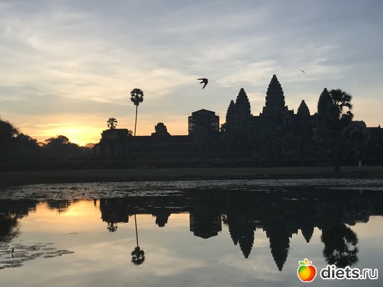 73 ����: ������ 2017. ��������