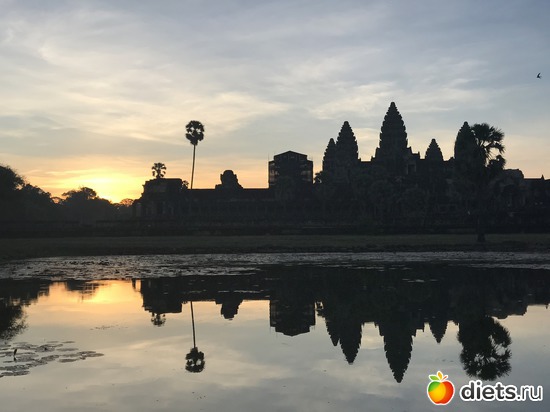 74 ����: ������ 2017. ��������