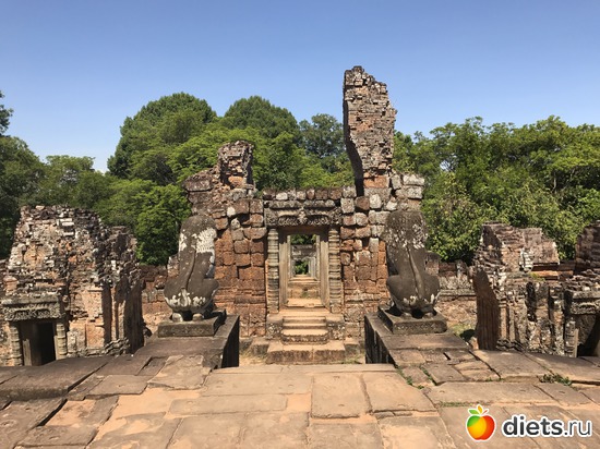 255 ����: ������ 2017. ��������