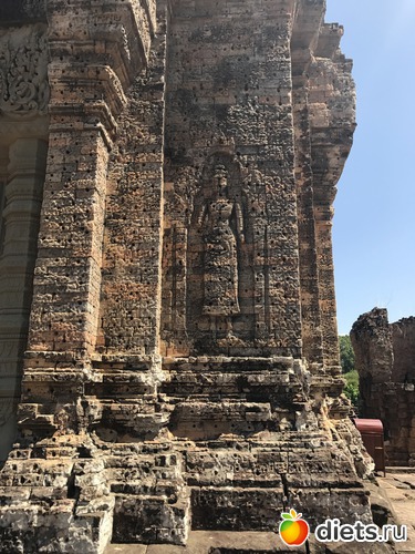 256 ����: ������ 2017. ��������