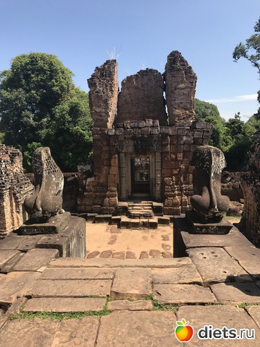 257 ����: ������ 2017. ��������