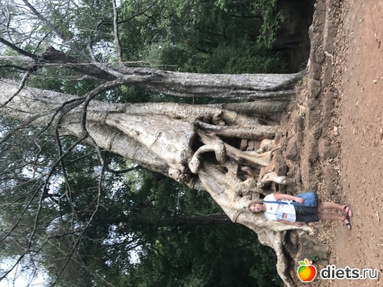 552 ����: ������ 2017. ��������