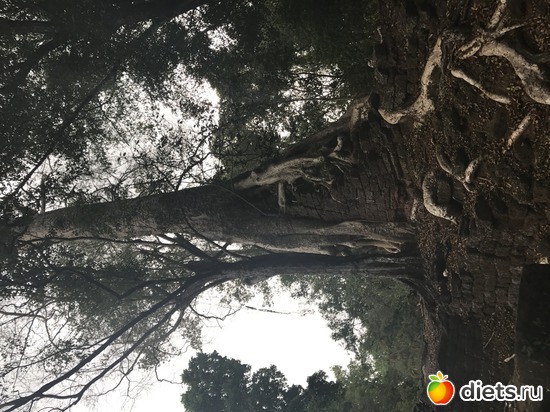 553 ����: ������ 2017. ��������