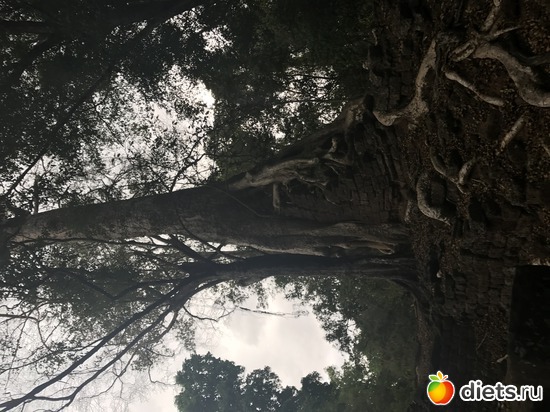 554 ����: ������ 2017. ��������