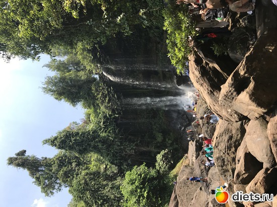 622 ����: ������ 2017. ��������