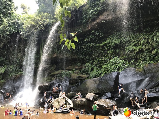 624 ����: ������ 2017. ��������