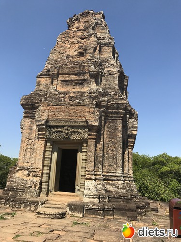 258 ����: ������ 2017. ��������