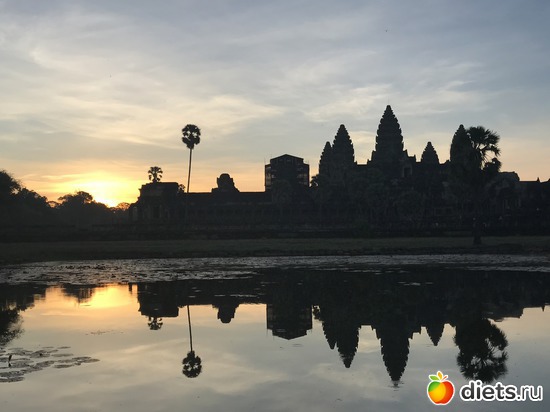 81 ����: ������ 2017. ��������