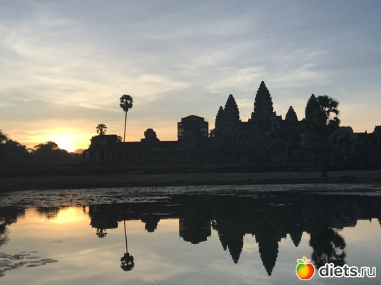 82 ����: ������ 2017. ��������