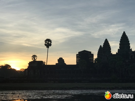 83 ����: ������ 2017. ��������