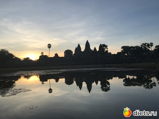 84 ����: ������ 2017. ��������