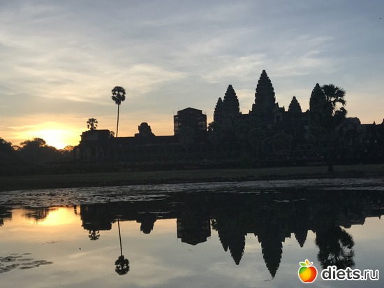 85 ����: ������ 2017. ��������