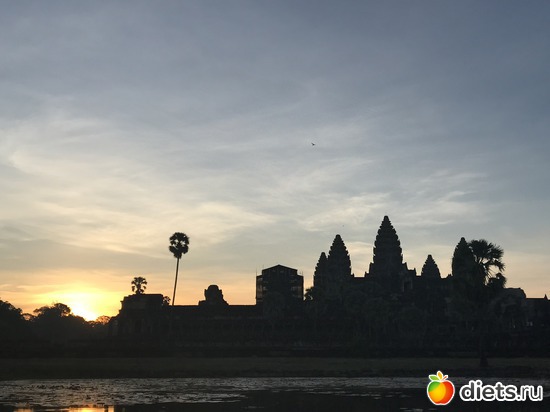 88 ����: ������ 2017. ��������