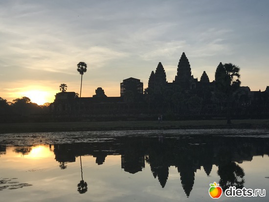 91 ����: ������ 2017. ��������