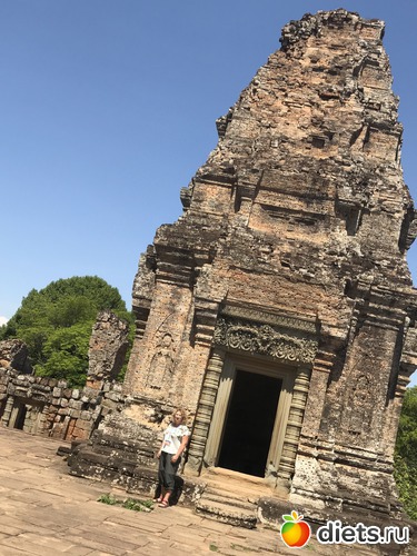 263 ����: ������ 2017. ��������