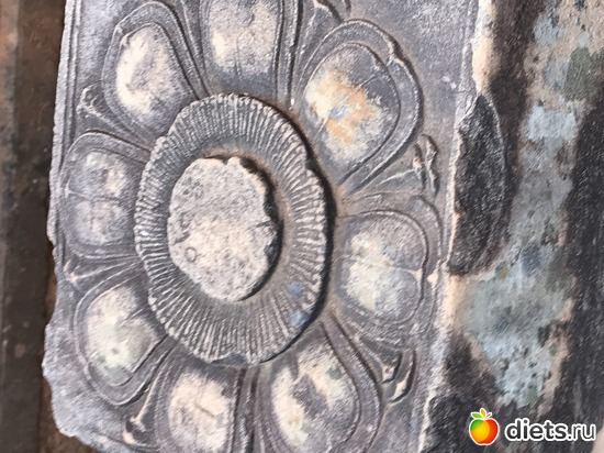 635 ����: ������ 2017. ��������