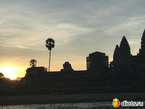 93 ����: ������ 2017. ��������