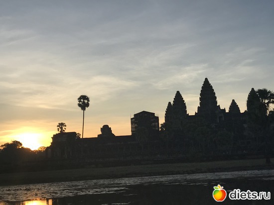 94 ����: ������ 2017. ��������