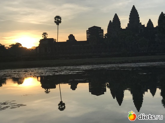 95 ����: ������ 2017. ��������