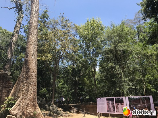 268 ����: ������ 2017. ��������