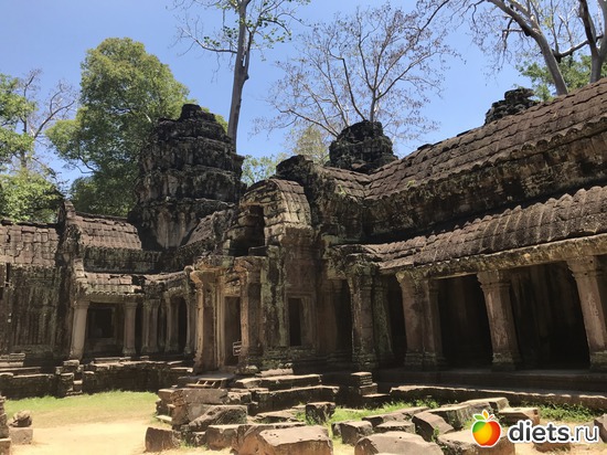 270 ����: ������ 2017. ��������