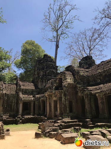 271 ����: ������ 2017. ��������