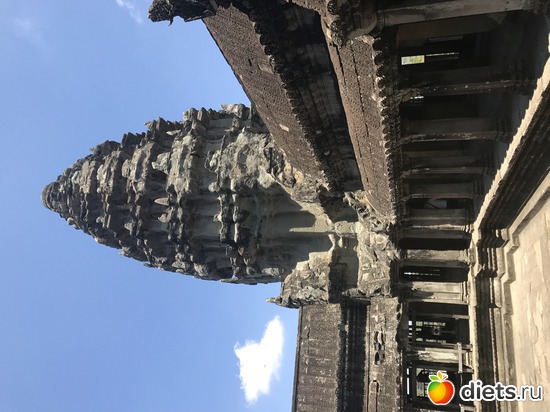 419 ����: ������ 2017. ��������