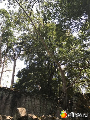 275 ����: ������ 2017. ��������