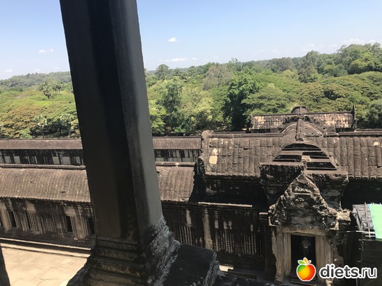 421 ����: ������ 2017. ��������