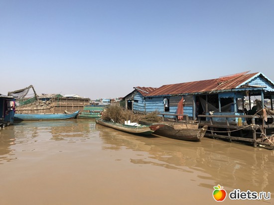 738 ����: ������ 2017. ��������