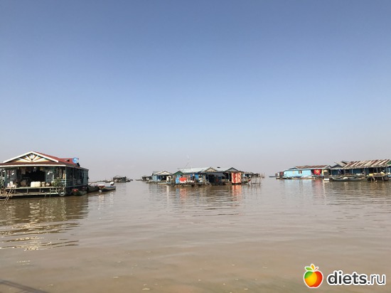 739 ����: ������ 2017. ��������