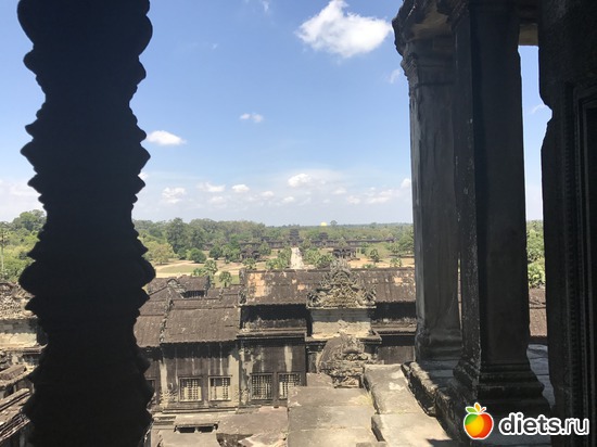 426 ����: ������ 2017. ��������