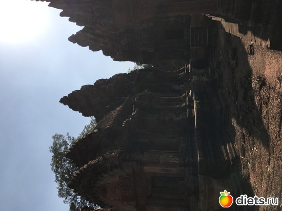 645 ����: ������ 2017. ��������