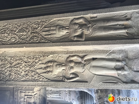 431 ����: ������ 2017. ��������