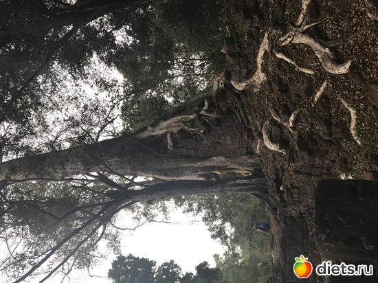 557 ����: ������ 2017. ��������