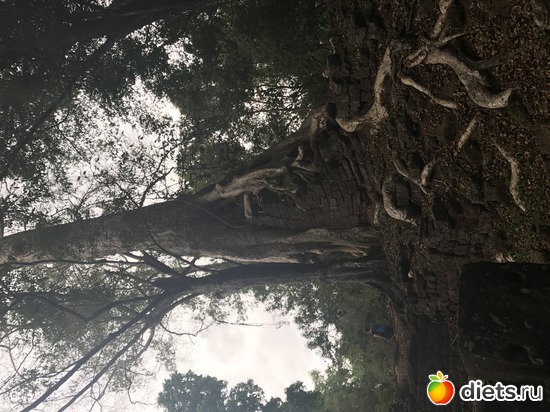 558 ����: ������ 2017. ��������