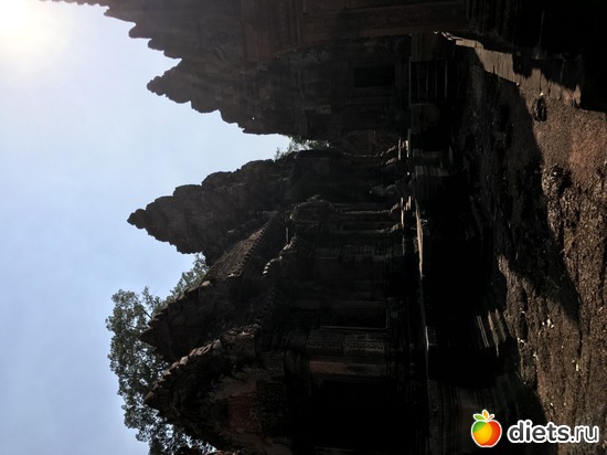 646 ����: ������ 2017. ��������