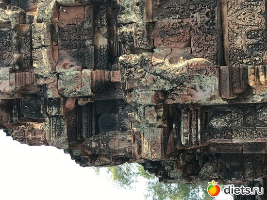 648 ����: ������ 2017. ��������