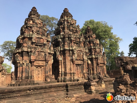 649 ����: ������ 2017. ��������