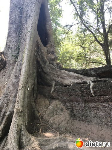 278 ����: ������ 2017. ��������