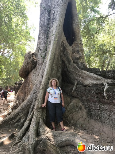 279 ����: ������ 2017. ��������