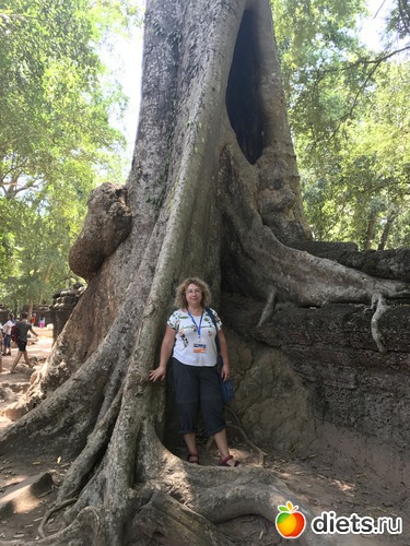 280 ����: ������ 2017. ��������