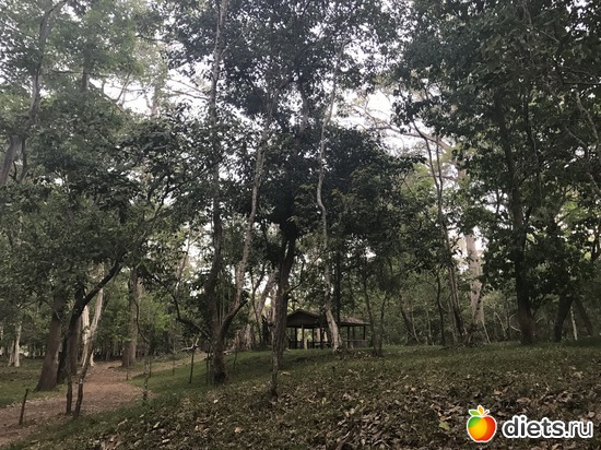 559 ����: ������ 2017. ��������