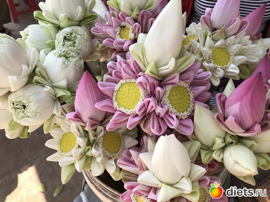 561 ����: ������ 2017. ��������