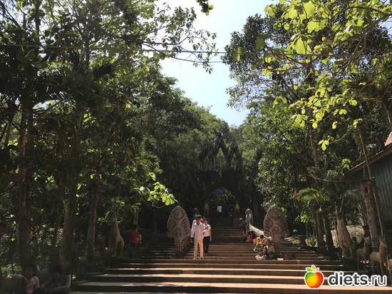 562 ����: ������ 2017. ��������