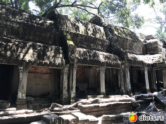 281 ����: ������ 2017. ��������