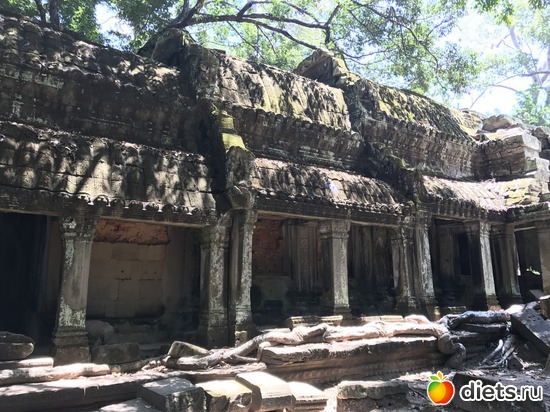 282 ����: ������ 2017. ��������