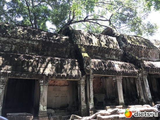 283 ����: ������ 2017. ��������