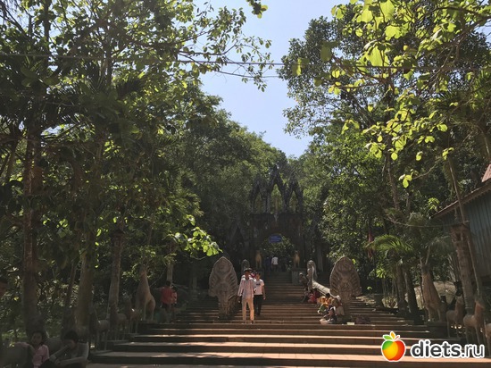 563 ����: ������ 2017. ��������