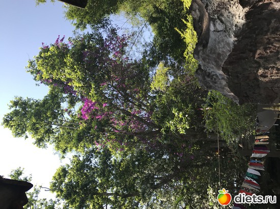 564 ����: ������ 2017. ��������